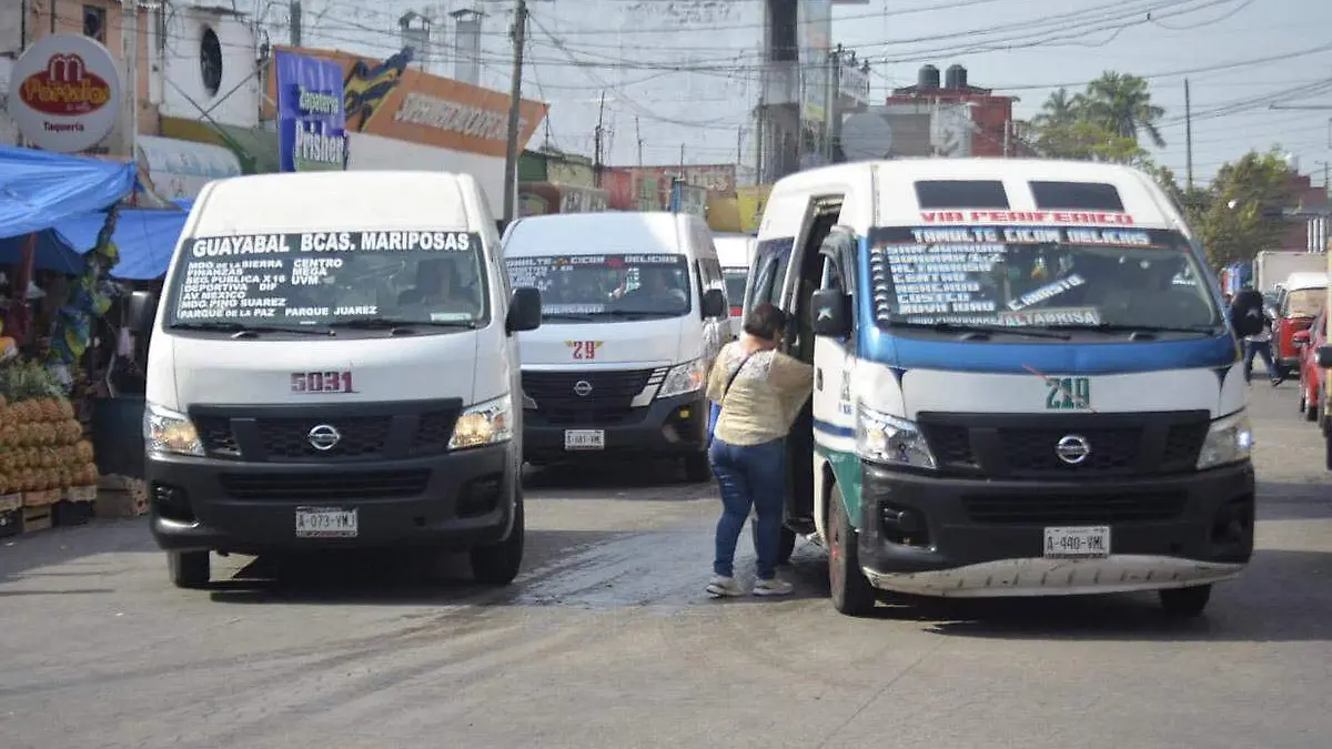 Transporte7 copia